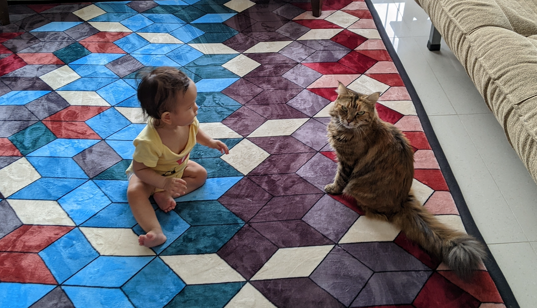 Cats & Babies: How To Create A Harmonious Relationship