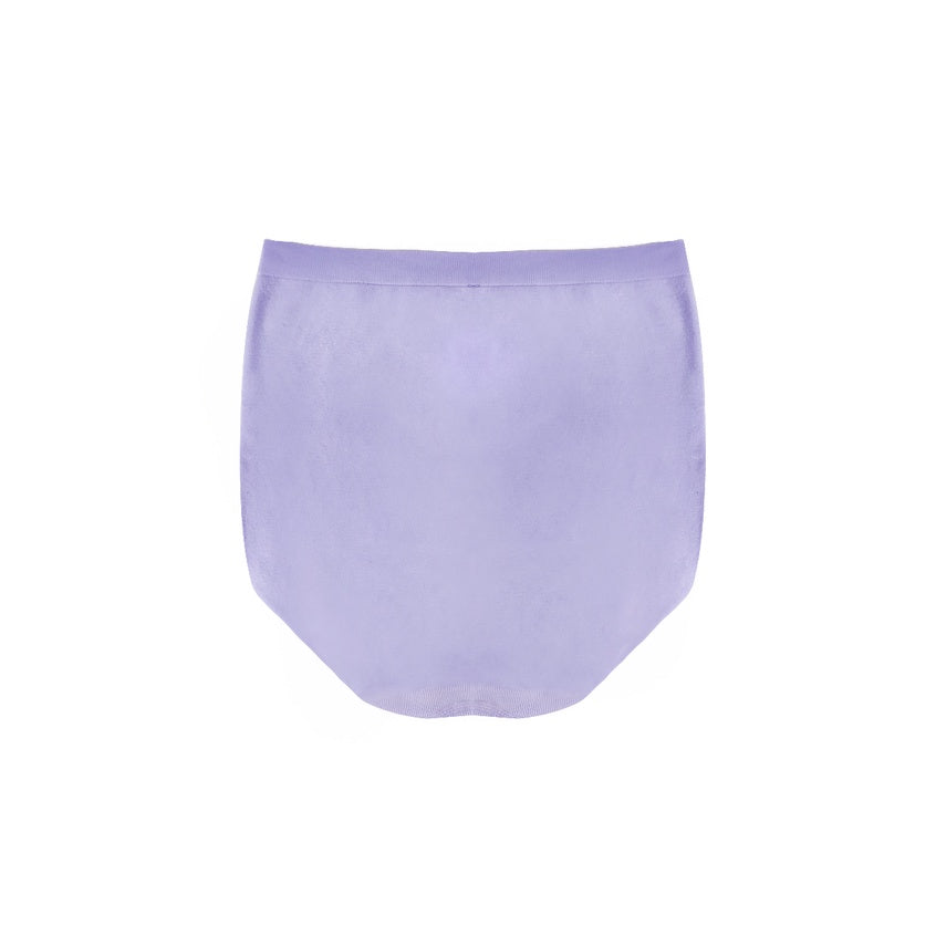 Curvy Comfort Hi Waist Panty